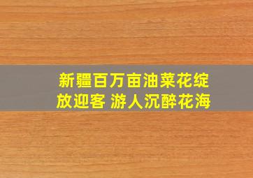 新疆百万亩油菜花绽放迎客 游人沉醉花海